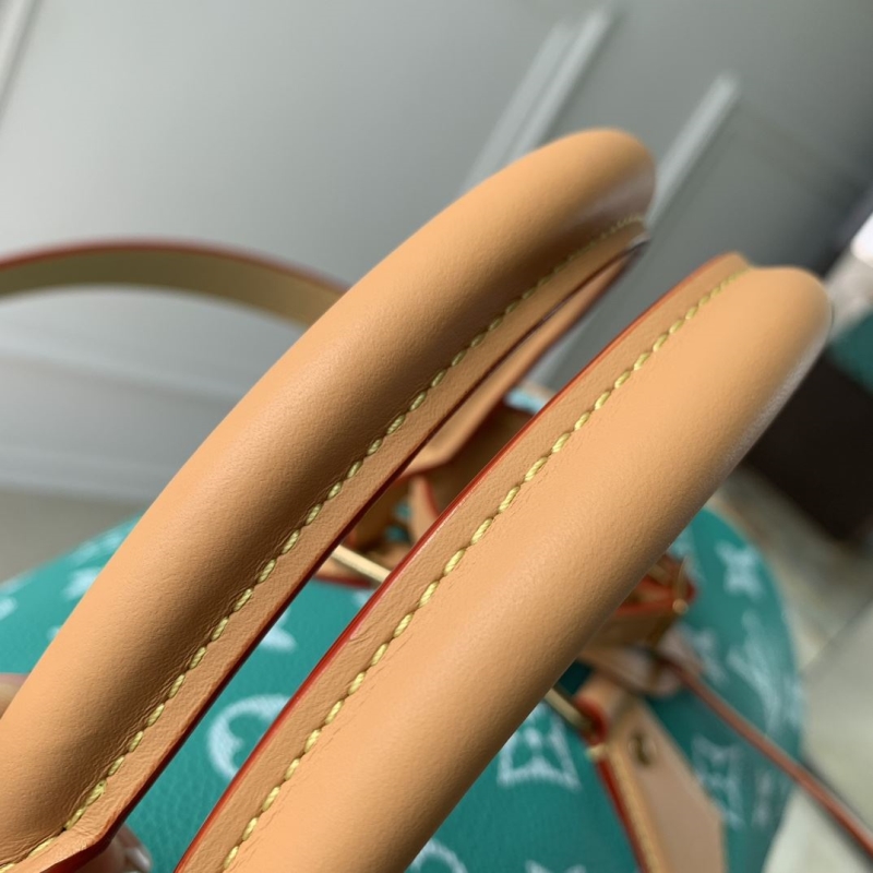 LV Travel Bags